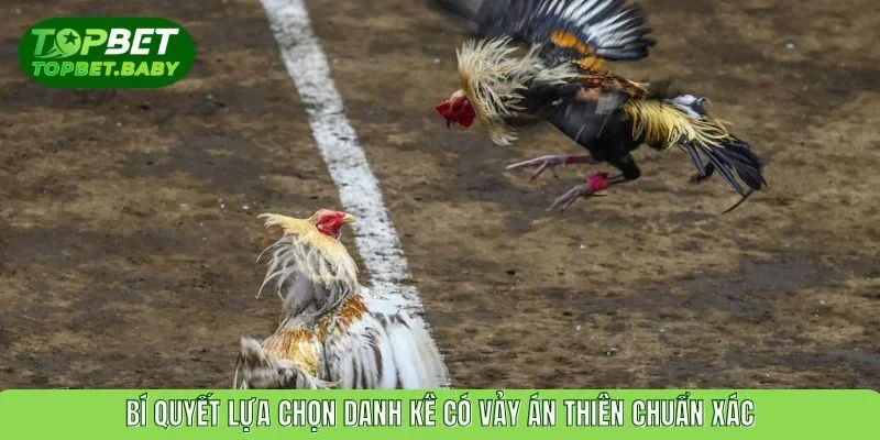 Bí quyết lựa chọn danh kê có vảy án thiên chuẩn xác