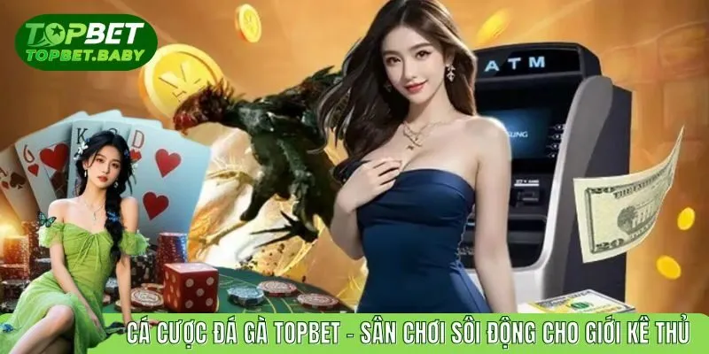 Cá Cược Đá Gà TOPBET – Sân Chơi Sôi Động Cho Giới Kê Thủ