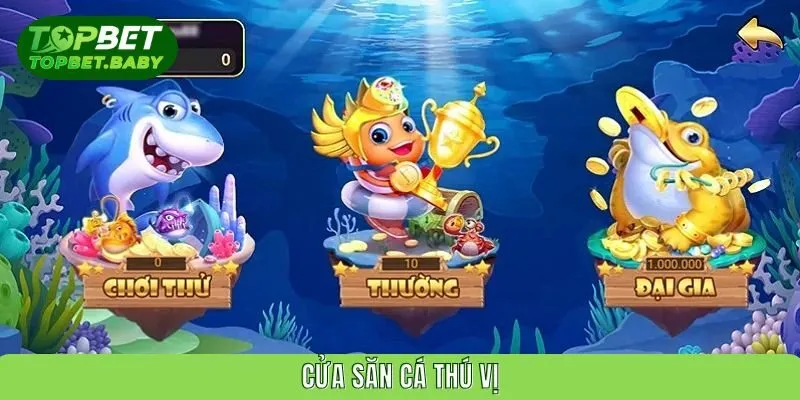 Cửa săn cá thú vị