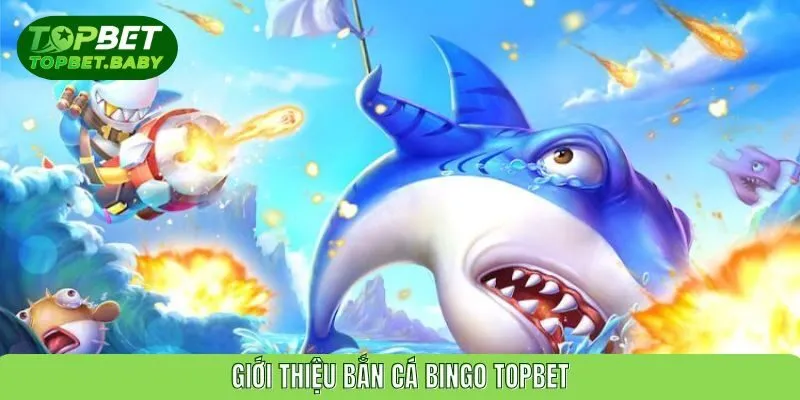 Giới thiệu bắn cá bingo TOPBET