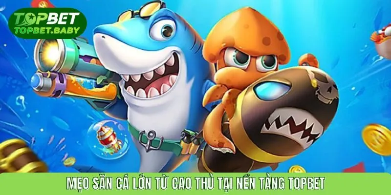 Mẹo săn cá lớn từ cao thủ tại nền tảng TOPBET