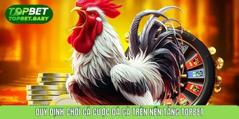 Quy định chơi cá cược đá gà trên nền tảng TOPBET