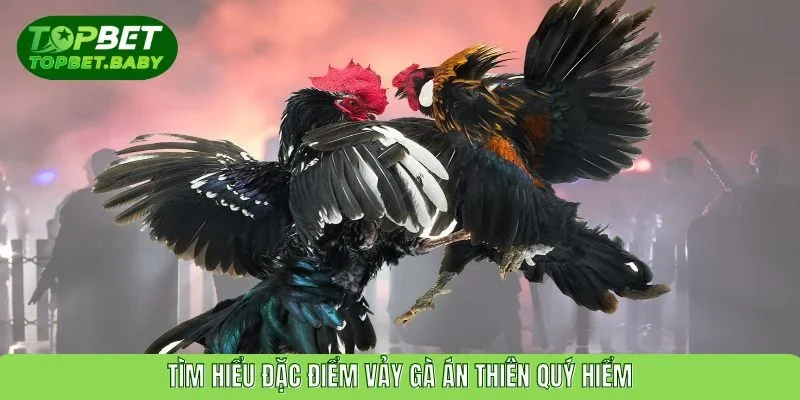 Tìm hiểu về đặc điểm vảy gà án thiên quý hiếm