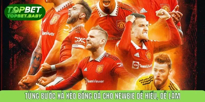 Từng bước xả kèo bóng đá cho newbie dễ hiểu, dễ làm